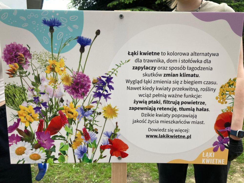 Moc bioróżnorodności w walce ze zmianami klimatycznymi